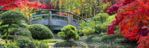 Bild Brücke