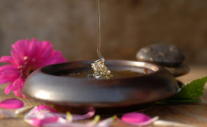 Monika Gniot/Shutterstock.com - Honey dripping
